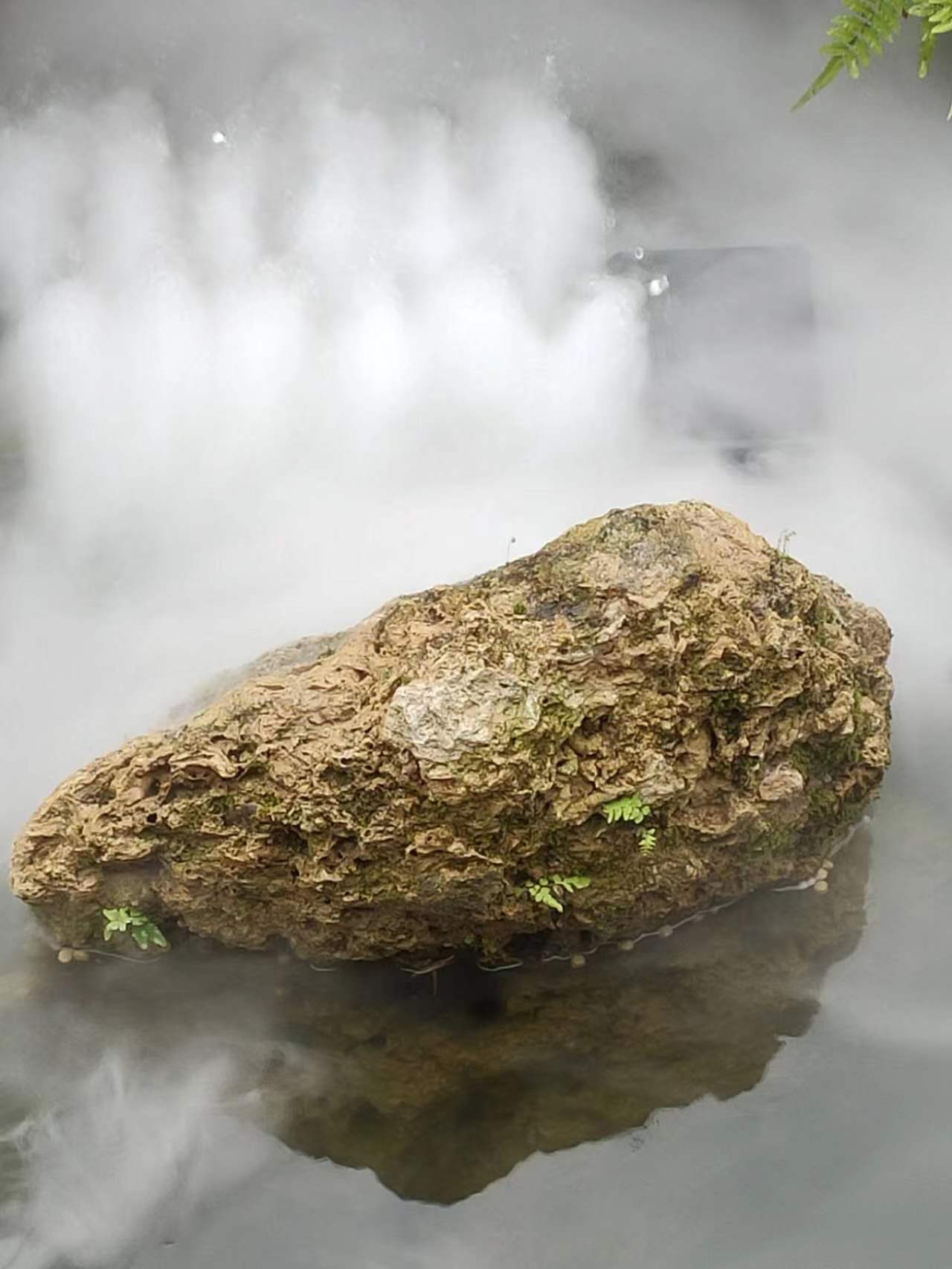 Ǯϫ168